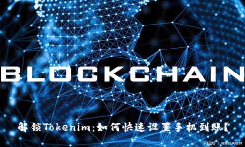 解锁Tokenim：如何快速设置手机到账？