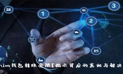 Tokenim钱包转账受限？揭示背后的真相与解决方案！