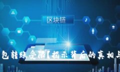 Tokenim钱包转账受限？揭示背后的真相与解决方案