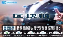 在币圈的风暴中生存：区块链如何破局挑战