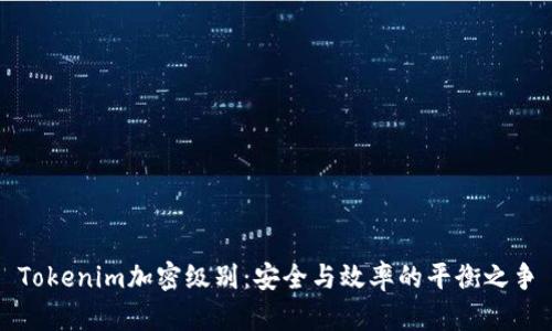 Tokenim加密级别：安全与效率的平衡之争