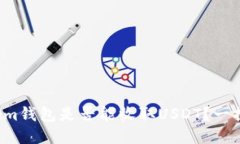 Tokenim钱包是否能收取USDT？一探究竟！