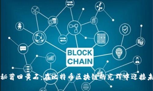 揭秘莆田黄石：在比特币区块链的光辉中迎接未来