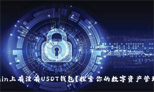 Tokenin上有没有USDT钱包？探索你的数字资产管理之路