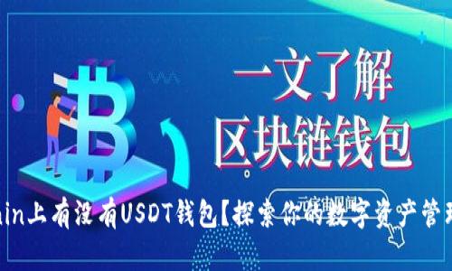 Tokenin上有没有USDT钱包？探索你的数字资产管理之路