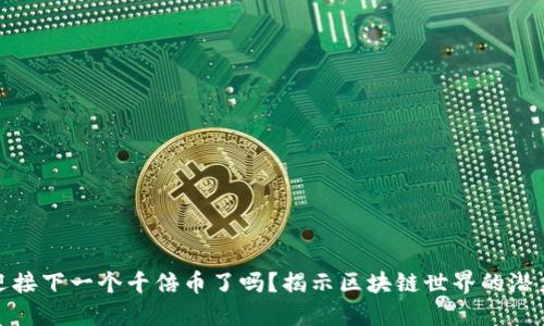准备好迎接下一个千倍币了吗？揭示区块链世界的潜力与风险