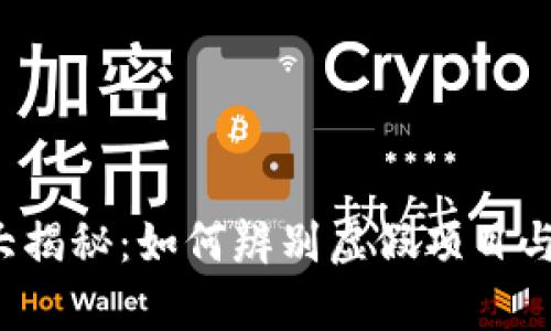 区块链发币真相大揭秘：如何辨别虚假项目与真正的财富机会？