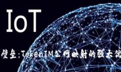 打破网络壁垒：TokenIM公网映射的强大优势与挑战
