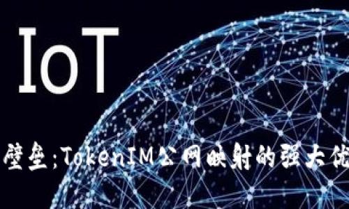 打破网络壁垒：TokenIM公网映射的强大优势与挑战
