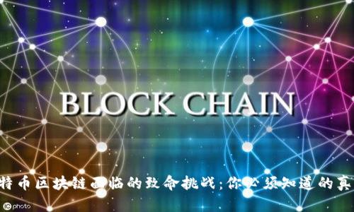 比特币区块链面临的致命挑战：你必须知道的真相！