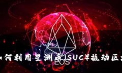 不再观望！如何利用星洲币（SUC）撬动区块链新