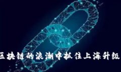 如何在区块链的浪潮中抓住上海升级的机遇？