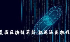 美国区块链革新：机遇还是挑战？