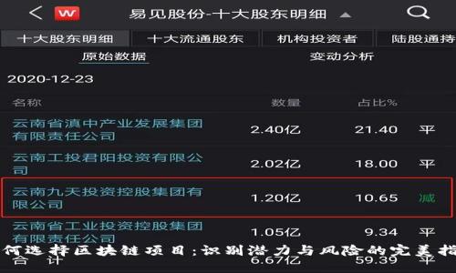 如何选择区块链项目：识别潜力与风险的完美指南