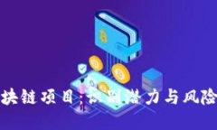 如何选择区块链项目：识别潜力与风险的完美指