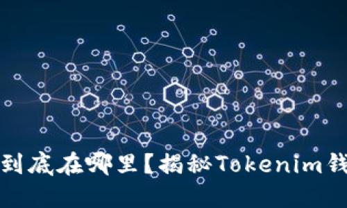 你购买的代币到底在哪里？揭秘Tokenim钱包的资金流向