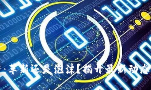 区块链：革新还是泡沫？揭开最新动态的面纱