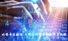 比特币区块链：从理念到实践的挑战与机遇
