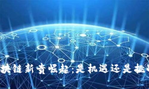 区块链新贵崛起：是机遇还是挑战？