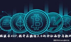 瑞波币XRP：揭开区块链3.0的神秘面纱与挑战