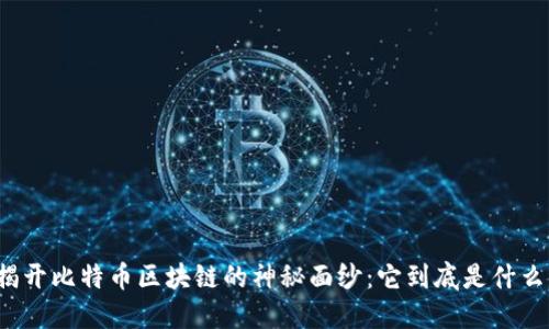 揭开比特币区块链的神秘面纱：它到底是什么？