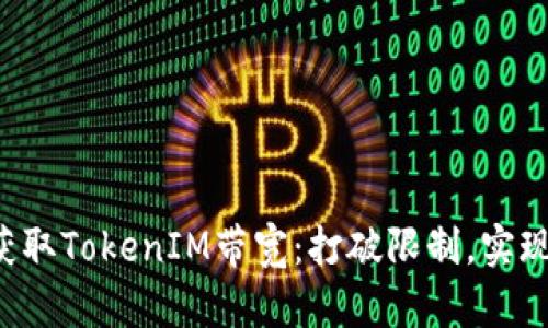 如何有效获取TokenIM带宽：打破限制，实现更大流量！