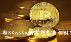 打破常规，为什么选择KCasha数字钱包是你财富管
