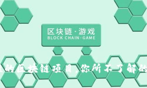 派币：革命性的区块链项目，你所不了解的潜力与挑战