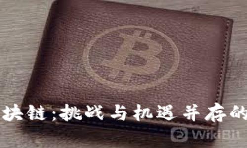 新西兰区块链：挑战与机遇并存的未来篇章