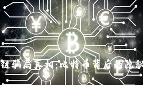 区块链骗局真相：比特币背后的隐秘故事