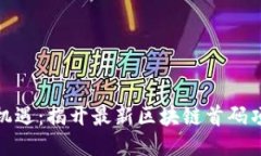 抓住新时代的机遇：揭开最新区块链首码项目的