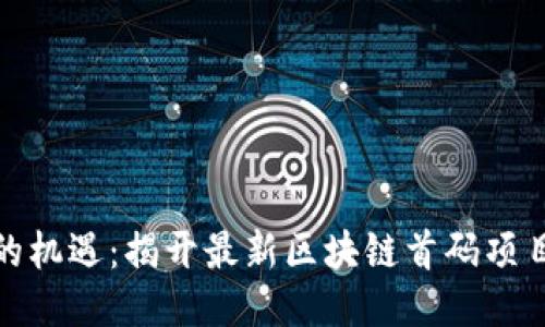 抓住新时代的机遇：揭开最新区块链首码项目的神秘面纱