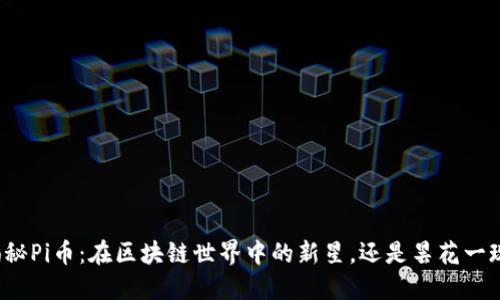 揭秘Pi币：在区块链世界中的新星，还是昙花一现？