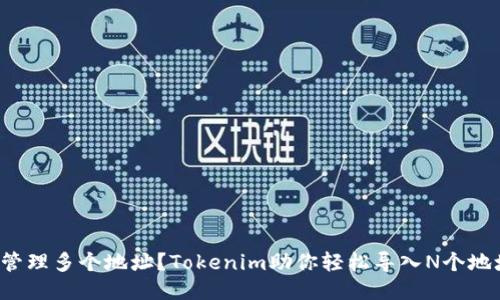 如何高效管理多个地址？Tokenim助你轻松导入N个地址的秘诀！