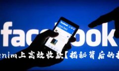 如何在Tokenim上高效收款？揭秘背后的技巧与策略