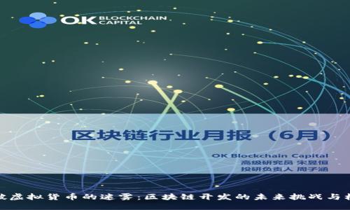 突破虚拟货币的迷雾：区块链开发的未来挑战与机遇