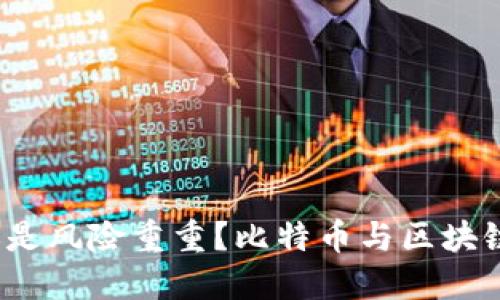 全民掌控，还是风险重重？比特币与区块链的未来之争