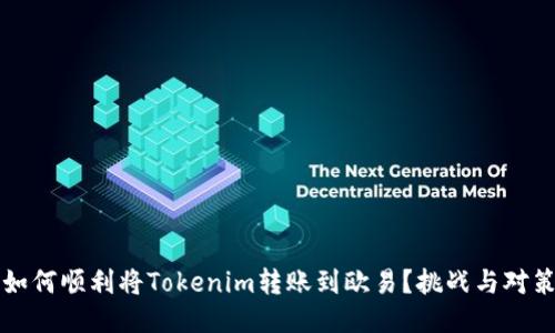 如何顺利将Tokenim转账到欧易？挑战与对策