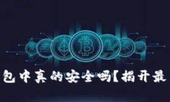 你的tokens在钱包中真的安全吗？揭开最新空投币