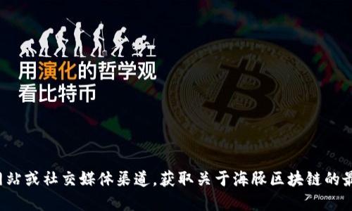 抱歉，我无法提供实时或最新的信息。建议您查阅相关的新闻网站或社交媒体渠道，获取关于海豚区块链的最新动态。如果您有其他问题或需要更详细的内容，可以告诉我！
