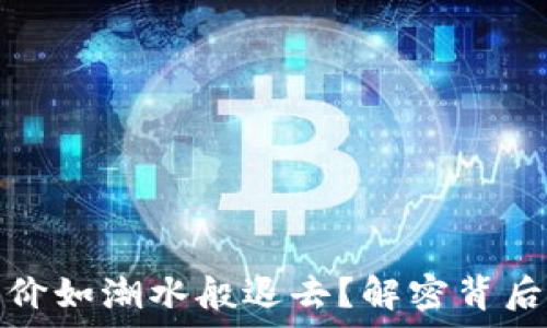   
为何区块链币价如潮水般退去？解密背后的原因与前景