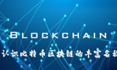 打破常规：认识比特币区块链的丰富名称与多样