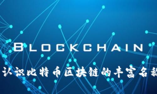 打破常规：认识比特币区块链的丰富名称与多样性