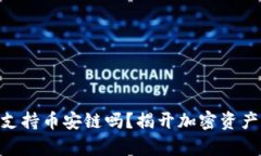 Tokenim钱包支持币安链吗？揭开加密资产管理的新