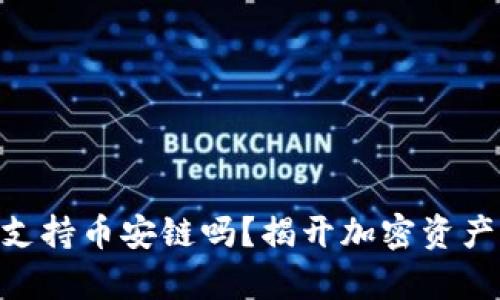 Tokenim钱包支持币安链吗？揭开加密资产管理的新篇章