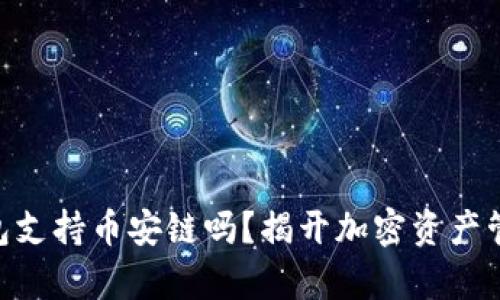 Tokenim钱包支持币安链吗？揭开加密资产管理的新篇章