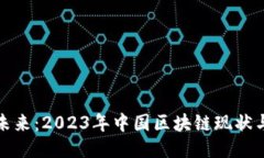 揭示未来：2023年中国区块链现状与挑战