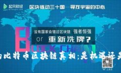 日本的比特币区块链真相：是机遇还是陷阱？
