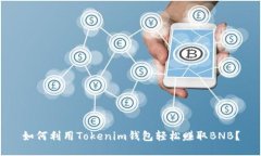 如何利用Tokenim钱包轻松赚取BNB？