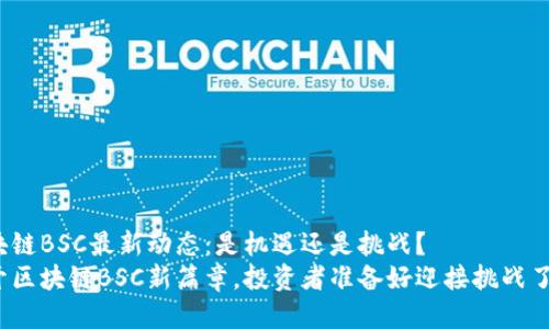 区块链BSC最新动态：是机遇还是挑战？
揭开区块链BSC新篇章，投资者准备好迎接挑战了吗？